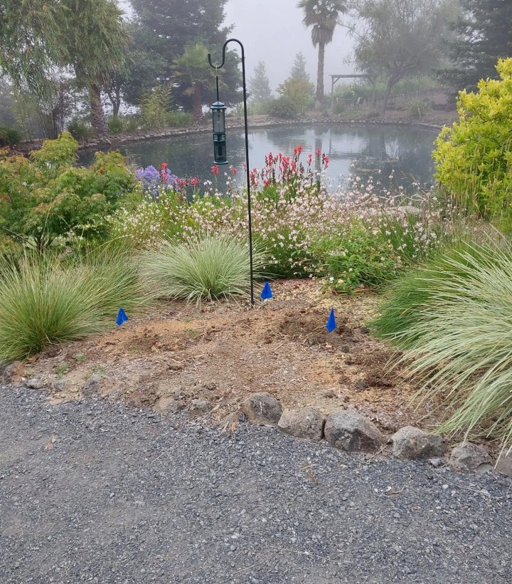 Natural garden landscaping project in Sebastopol CA